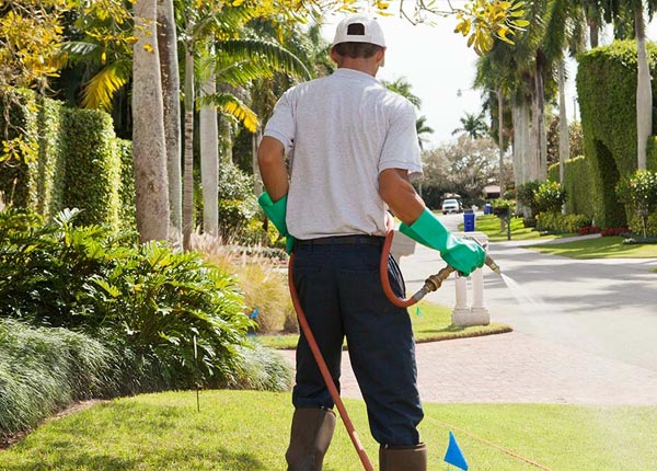 About Sandstone MN Pest Control